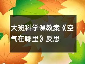 大班科學(xué)課教案《空氣在哪里》反思