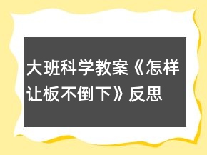 大班科學(xué)教案《怎樣讓板不倒下》反思