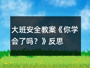 大班安全教案《你學(xué)會了嗎？》反思