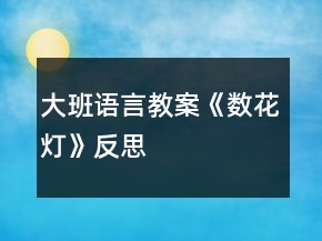 大班語言教案《數(shù)花燈》反思