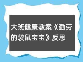 大班健康教案《勤勞的袋鼠寶寶》反思