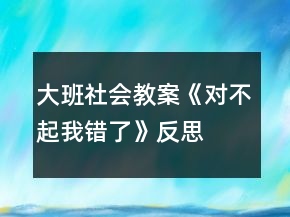 大班社會(huì)教案《對(duì)不起我錯(cuò)了》反思