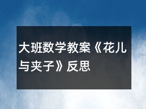 大班數(shù)學教案《花兒與夾子》反思