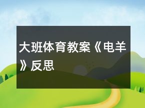 大班體育教案《電羊》反思