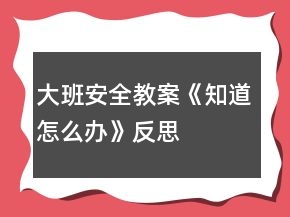 大班安全教案《知道怎么辦》反思