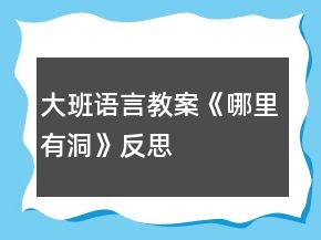 大班語言教案《哪里有洞》反思