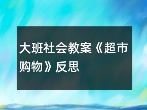 大班社會教案《超市購物》反思