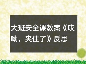 大班安全課教案《哎呦，夾住了》反思