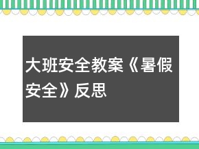 大班安全教案《暑假安全》反思