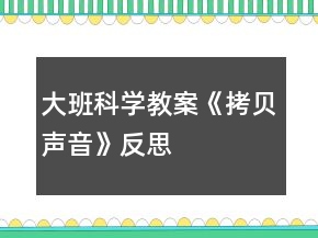 大班科學(xué)教案《拷貝聲音》反思