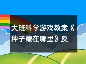 大班科學(xué)游戲教案《種子藏在哪里》反思