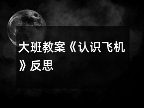 大班教案《認(rèn)識飛機(jī)》反思