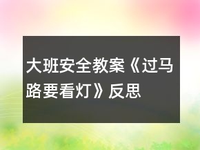 大班安全教案《過馬路要看燈》反思