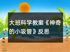 大班科學教案《神奇的小吸管》反思