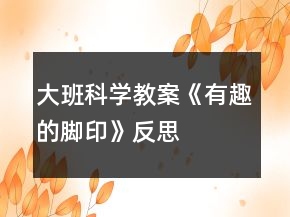 大班科學(xué)教案《有趣的腳印》反思