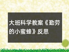 大班科學(xué)教案《勤勞的小蜜蜂》反思