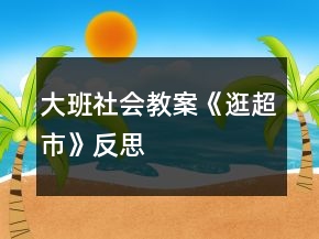 大班社會教案《逛超市》反思