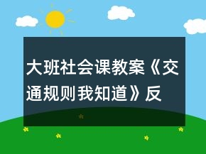 大班社會(huì)課教案《交通規(guī)則我知道》反思