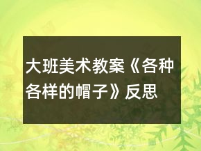 大班美術(shù)教案《各種各樣的帽子》反思