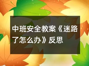 中班安全教案《迷路了怎么辦》反思