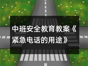 中班安全教育教案《緊急電話的用途》反思