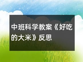 中班科學(xué)教案《好吃的大米》反思