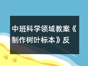 中班科學(xué)領(lǐng)域教案《制作樹葉標(biāo)本》反思