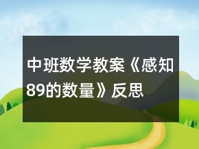中班數(shù)學教案《感知8、9的數(shù)量》反思