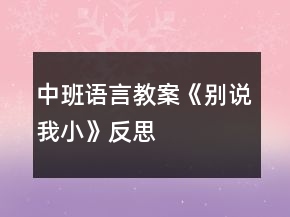 中班語(yǔ)言教案《別說我小》反思