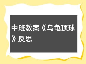 中班教案《烏龜頂球》反思