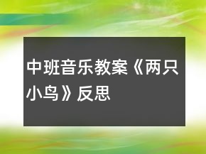 中班音樂教案《兩只小鳥》反思