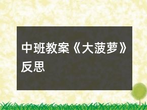 中班教案《大菠蘿》反思