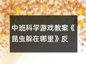 中班科學(xué)游戲教案《昆蟲躲在哪里》反思