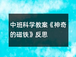 中班科學(xué)教案《神奇的磁鐵》反思