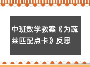 中班數(shù)學(xué)教案《為蔬菜匹配點(diǎn)卡》反思