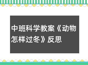 中班科學教案《動物怎樣過冬》反思