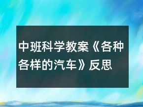 中班科學(xué)教案《各種各樣的汽車》反思