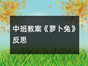 中班教案《蘿卜兔》反思