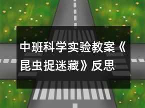 中班科學(xué)實(shí)驗(yàn)教案《昆蟲捉迷藏》反思
