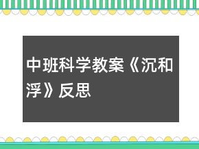 中班科學教案《沉和浮》反思