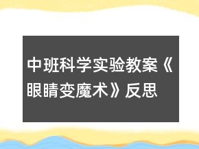 中班科學(xué)實(shí)驗(yàn)教案《眼睛變魔術(shù)》反思