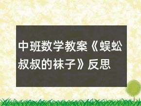 中班數(shù)學(xué)教案《蜈蚣叔叔的襪子》反思