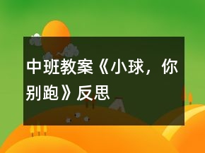 中班教案《小球，你別跑》反思