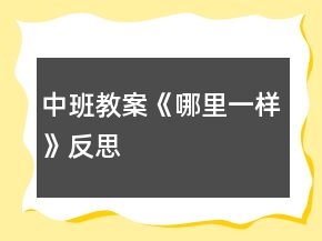 中班教案《哪里一樣》反思