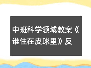 中班科學(xué)領(lǐng)域教案《誰(shuí)住在皮球里》反思