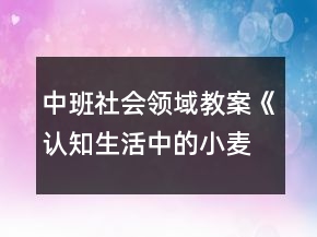 中班社會(huì)領(lǐng)域教案《認(rèn)知生活中的小麥》反思