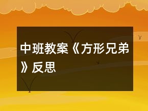 中班教案《方形兄弟》反思