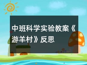 中班科學(xué)實(shí)驗(yàn)教案《游羊村》反思