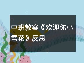 中班教案《歡迎你小雪花》反思