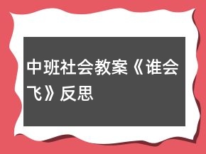 中班社會教案《誰會飛》反思